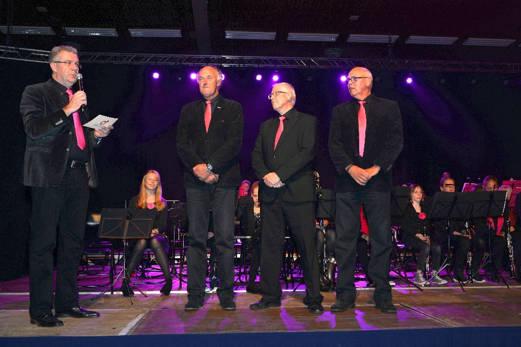 ../Images/Jubileumconcert 100 jaar Harpe Davids 152.jpg